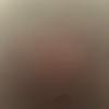 foto do perfil bonovox1